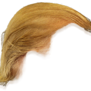 Hair wig PNG