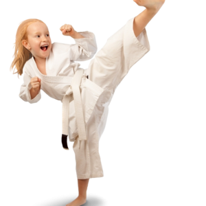 Karate PNG