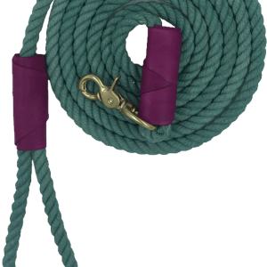 Leash PNG
