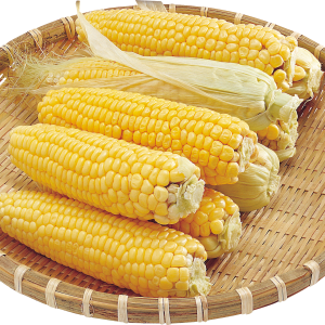 Corn PNG