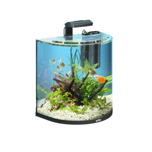 Aquarium PNG