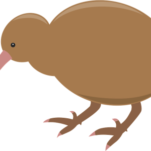 Kiwi bird PNG