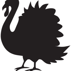 Turkey bird PNG