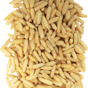 Wheat PNG