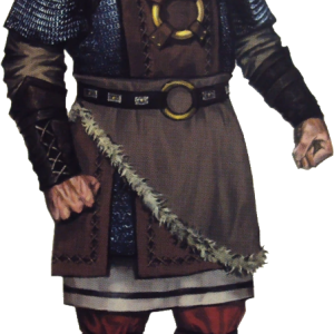 Viking PNG