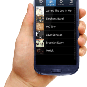 Phone in hand PNG