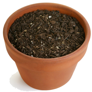 Soil PNG