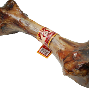 Bone PNG