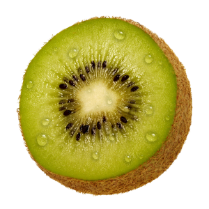 Kiwi PNG image, free fruit kiwi PNG pictures download