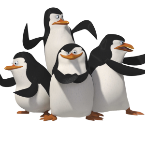 Madagascar penguins PNG image