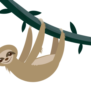 Sloth PNG