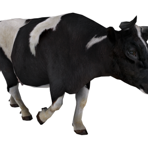 cow PNG