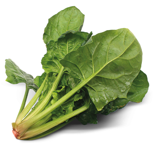 Spinach PNG