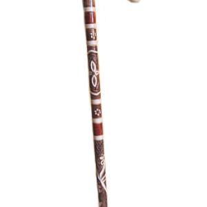 Walking stick PNG