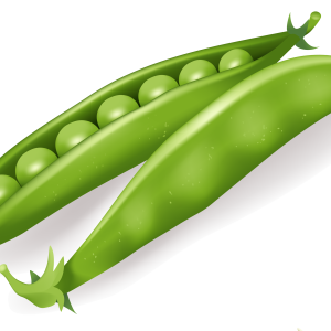 Pea PNG