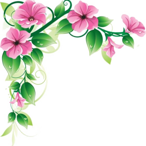 Floral frame PNG