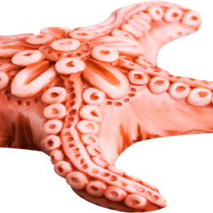 Starfish PNG