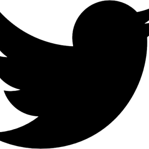 Twitter logo PNG