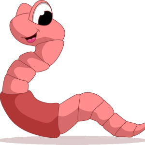earthworm worm PNG