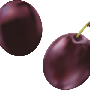 Plum PNG image