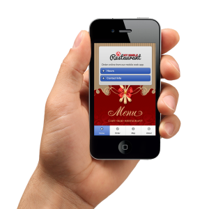 Phone in hand PNG