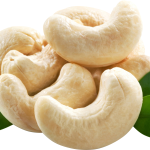 Cashew nut PNG