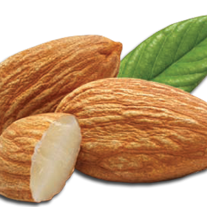 Almond PNG