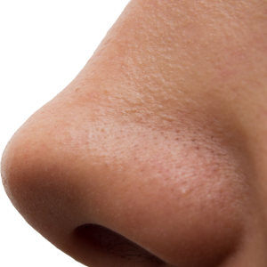 Human nose PNG