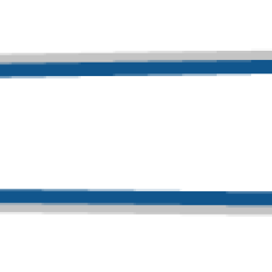 Bone PNG
