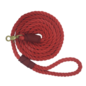 Leash PNG