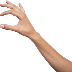 Hands PNG, hand image free