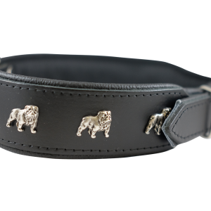 Dog collar PNG