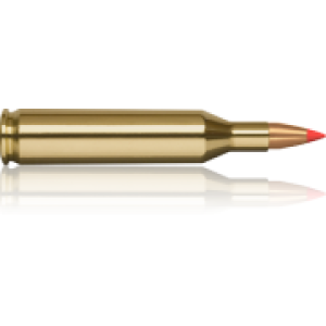 Bullets PNG image