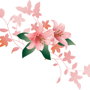 Lilium PNG