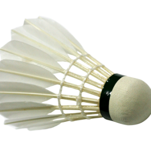 Badminton volant PNG image