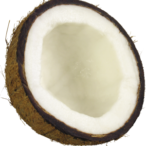 PNG Coconut