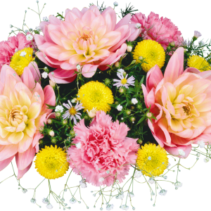 Bouquet flowers PNG