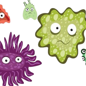 Virus PNG