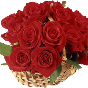 Rose PNG