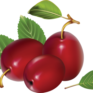 Plum PNG image