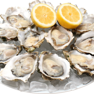Mussel PNG