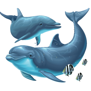 Dolphin PNG