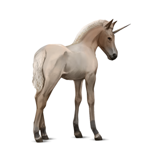 Unicorn PNG