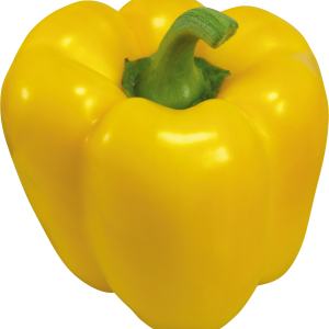 Bell pepper PNG