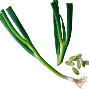Leek PNG