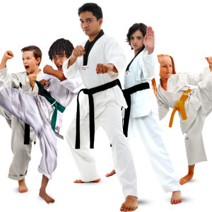 Taekwondo PNG