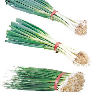 Leek PNG
