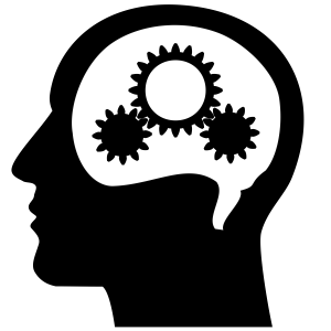 Brain PNG