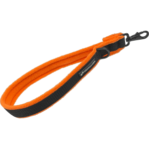 Leash PNG