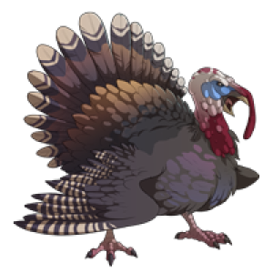 Turkey bird PNG